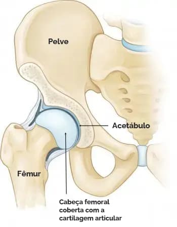 durere severă în articulația șoldului cum să ușurezi artroza degradantă a genunchiului